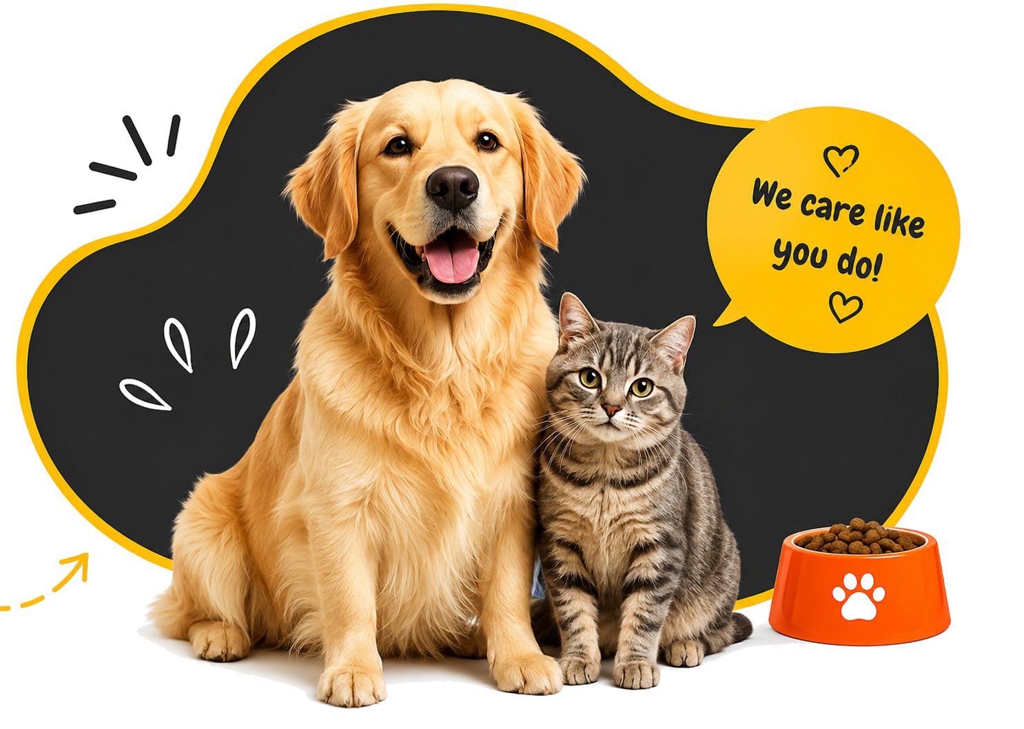 Happy dog and cat at Petland Oman