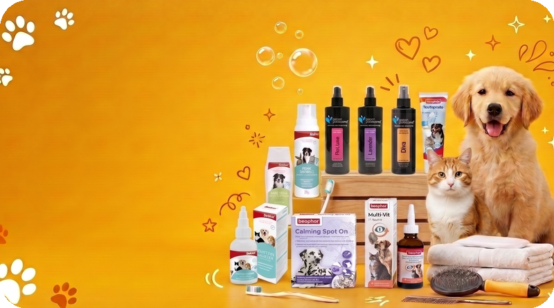Hygiene & Supplements